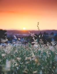 29.Java_权限修饰符